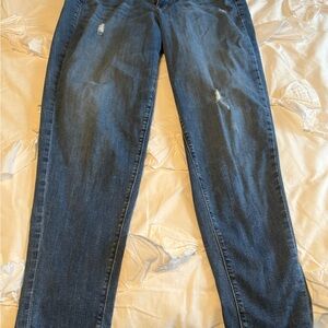 Lane Bryant Distressed Blue Straight Leg Jeans